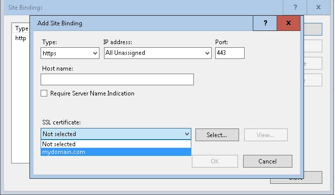 IIS Internet Information Services Add Site Binding SSL Certificate Blog Vinicius Deschamps